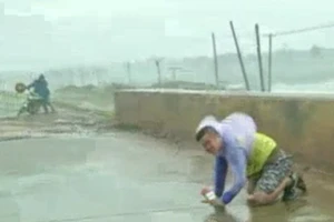 Kinh hoàng cơn lốc cao 100 m xuất hiện trong cơn bão Mujigae