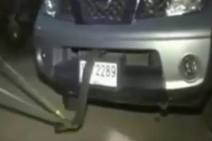 Clip: Kinh hoàng khi phát hiện rắn hổ mang trong xe ô tô