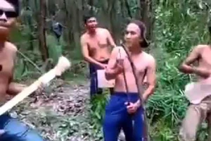 Clip: Ban nhạc trong rừng 