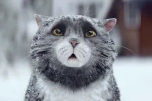 Clip: Đêm Giáng sinh của cô mèo phá hoại