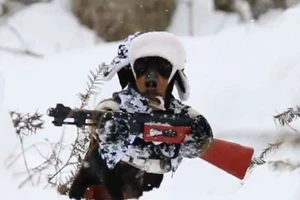 Clip chú chó bồng súng đi săn được cư dân mạng xem nhiều nhất