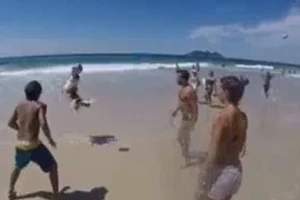 Clip: Chú chó chơi tưng bóng điêu luyện như cầu thủ chuyên nghiệp