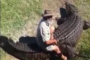 Clip người đàn ông cưỡi trên lưng cá sấu được xem nhiều nhất