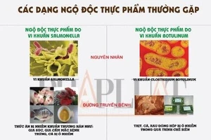 Infographic: Các dạng ngộ độc thực phẩm do vi khuẩn