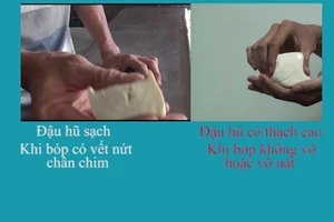 Cách đơn giản phát hiện đậu hũ có chứa thạch cao