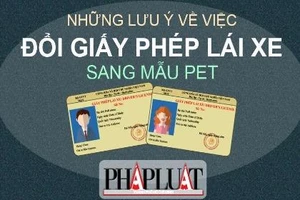 Infographic: Lưu ý quan trọng về chuyển đổi GPLX qua mẫu PET