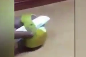 Cái kết buồn cho chàng trai cố gắng gọt bưởi đến cùng