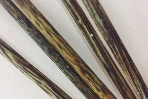 Dùng đũa mốc coi chừng mang bệnh