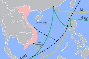 Cáp quang biển quốc tế AAG vừa gặp sự cố