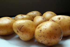 Có phải có thể để mọi thực phẩm trong tủ lạnh?