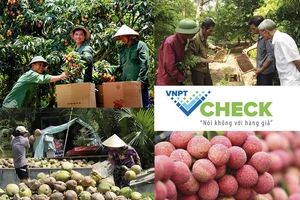 Cách tra cứu nguồn gốc nông sản khi mua hàng