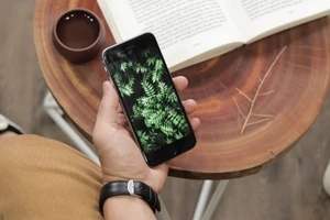 Tầm 3-5 triệu, nên mua iPhone nào?