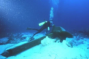 Cáp quang biển Liên Á gặp sự cố, tốc độ Internet giảm nhẹ