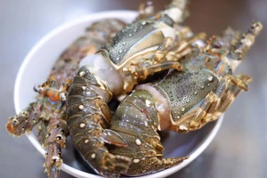 Tôm hùm và sầu riêng dẫn đầu xu hướng 'giải cứu' 