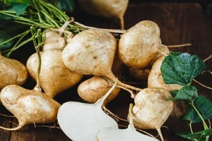 Ăn củ đậu giúp giảm cân và quản lý huyết áp