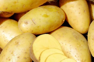 Khoai tây và khoai lang loại nào dinh dưỡng hơn?