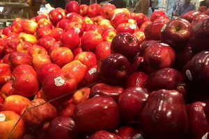 Ăn táo và thực phẩm giàu flavonoid làm giảm nguy cơ ung thư 