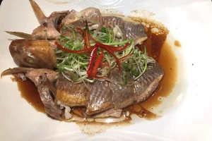 7 thực phẩm tốt cho sức khỏe của phổi