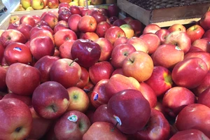 5 thực phẩm chứa carb tốt nhất cho nam giới để giảm cân