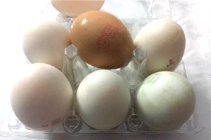 Trứng gà và trứng vịt, loại nào bổ dưỡng hơn?