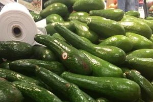 Ăn một quả bơ mỗi ngày tốt cho sức khỏe đường ruột