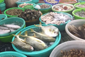 Những thực phẩm tốt nhất nên ăn để duy trì tuổi trẻ