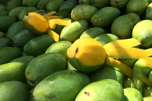 10 loại trái cây lành mạnh siêu bổ dưỡng