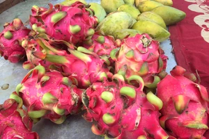 Nhiều lợi ích bất ngờ của trái thanh long