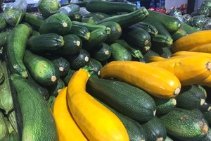 COVID-19 có thể lây lan qua thức ăn, nước uống, bề mặt và vật nuôi không?