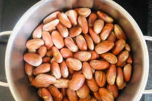 Hạt mít: những lợi ích sức khỏe mà ít người biết đến