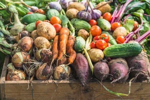 Lợi ích của việc ăn các sản phẩm hữu cơ