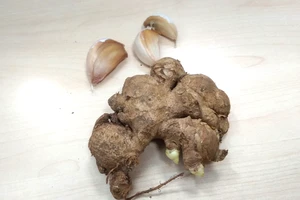 Những lợi ích đáng ngạc nhiên của gừng