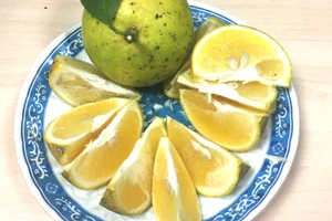 Tác dụng phụ của việc ăn quá nhiều cam