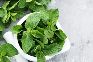 7 lợi ích sức khỏe tuyệt vời của bạc hà