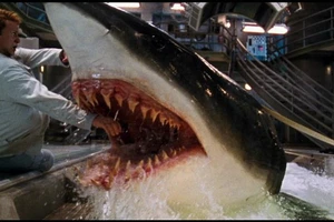 Cá mập - 'hung thần đại dương' tạo nguồn cảm hứng cho các tác phẩm điện ảnh