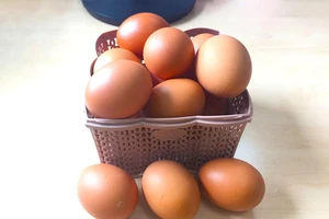 5 thực phẩm tăng cường trí nhớ cho người già