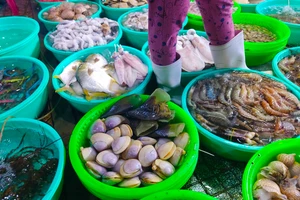 Những thực phẩm này có thể giúp bạn chống lại sự thiếu hụt B12