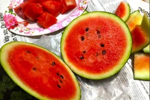 Ăn dưa hấu lúc đói tốt hay xấu?