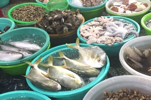 Nhóm thực phẩm lành mạnh cho người lớn tuổi