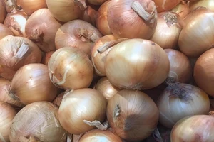 5 loại thực phẩm tốt cho sức khỏe đường ruột