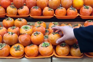 Các loại trái cây giàu chất xơ và ít đường tốt cho sức khỏe