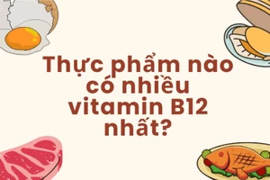 Thực phẩm nào có nhiều vitamin B12 nhất?