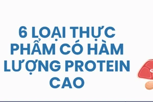 6 loại thực phẩm có hàm lượng protein cao