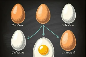 10 chất dinh dưỡng thiết yếu có trong trứng