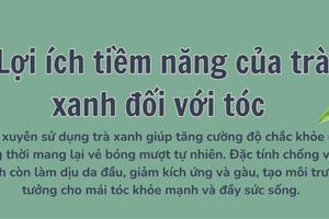 Lợi ích tiềm năng của trà xanh đối với tóc