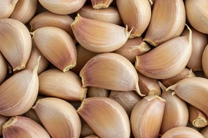 Tại sao ăn tỏi lại giúp kiểm soát mức cholesterol?