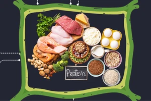 Bạn không ăn đủ protein nếu có 6 triệu chứng này