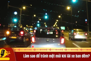 Làm sao để tránh mệt mỏi khi lái xe ban đêm?