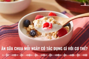 Ăn sữa chua mỗi ngày có tác dụng gì với cơ thể?