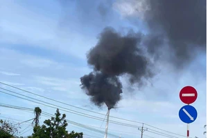 Bình Thuận: Trụ điện gió hàng chục tỉ đồng bị cháy